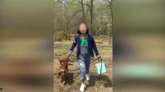 国产a级电影,国产A级电影的璀璨篇章